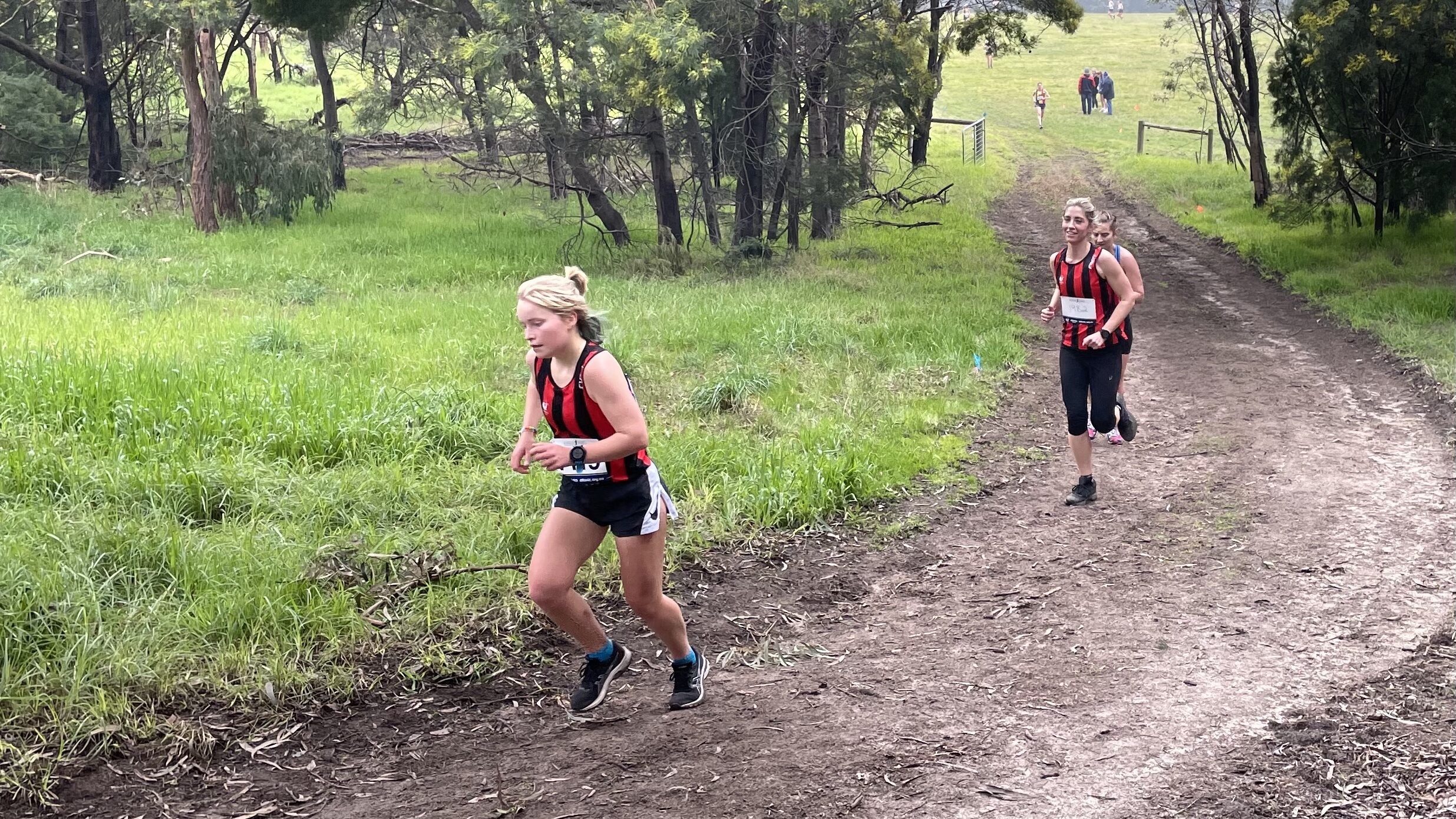 Runners at Cross Country Race