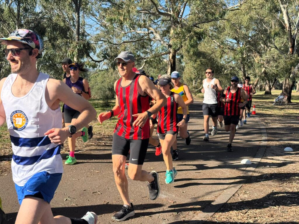 A pack of runners on a paved path surrounded by trees under clear skies